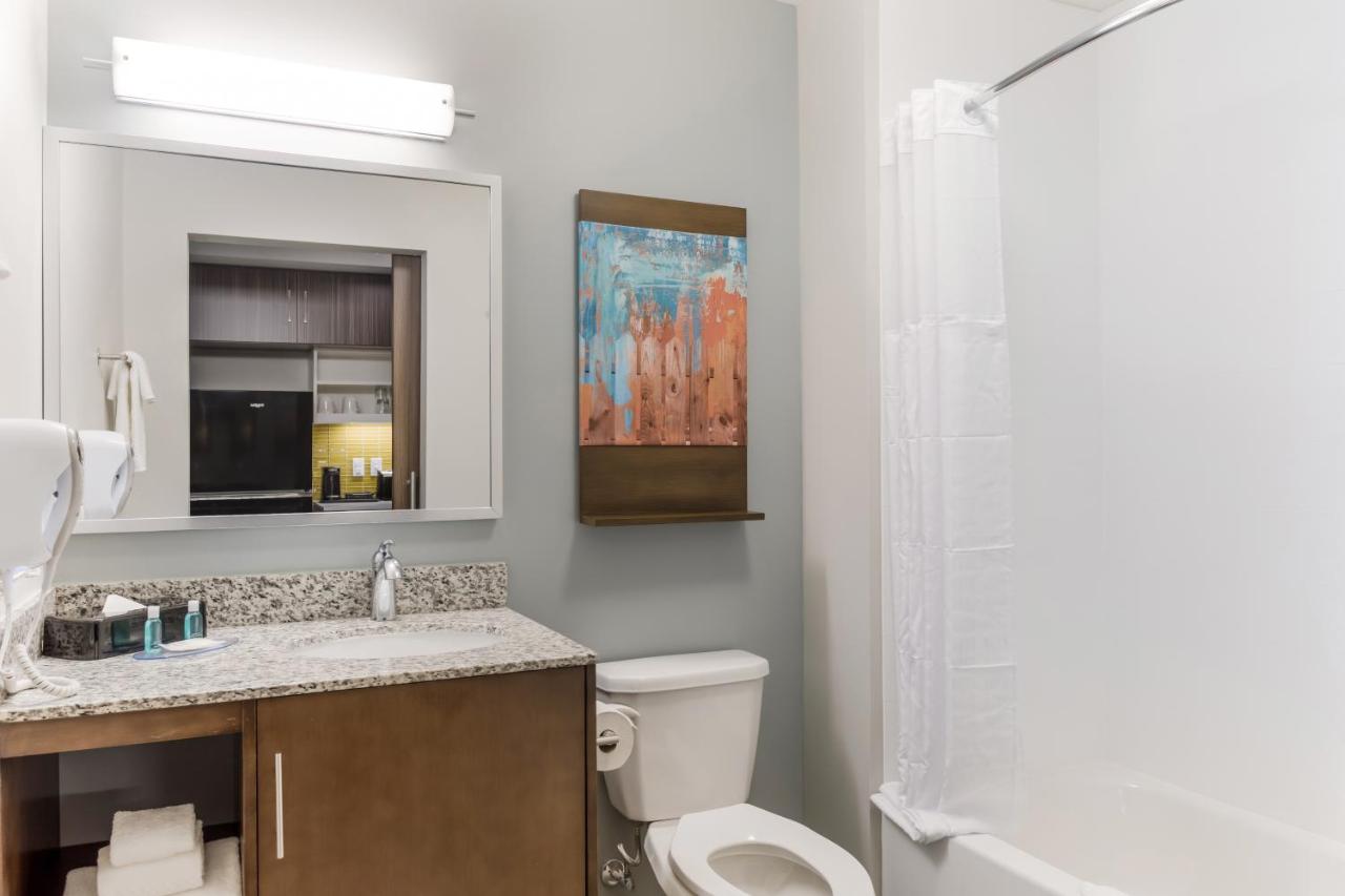 1 Bedroom Suite, 1 King Bed with Sofa bed, Non-Smoking at MainStay Suites Murfreesboro