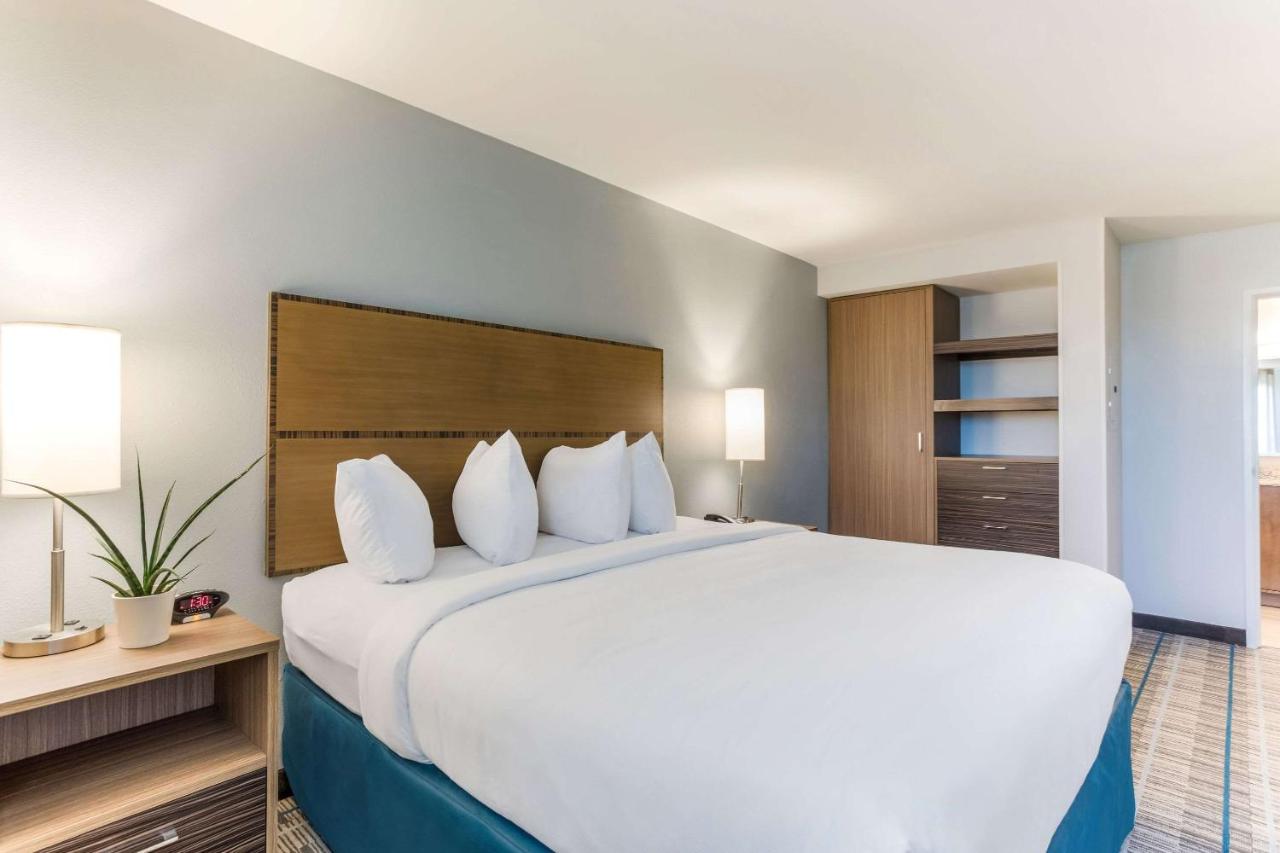 1 Bedroom Suite, 1 King Bed with Sofa bed, Non-Smoking at MainStay Suites Murfreesboro