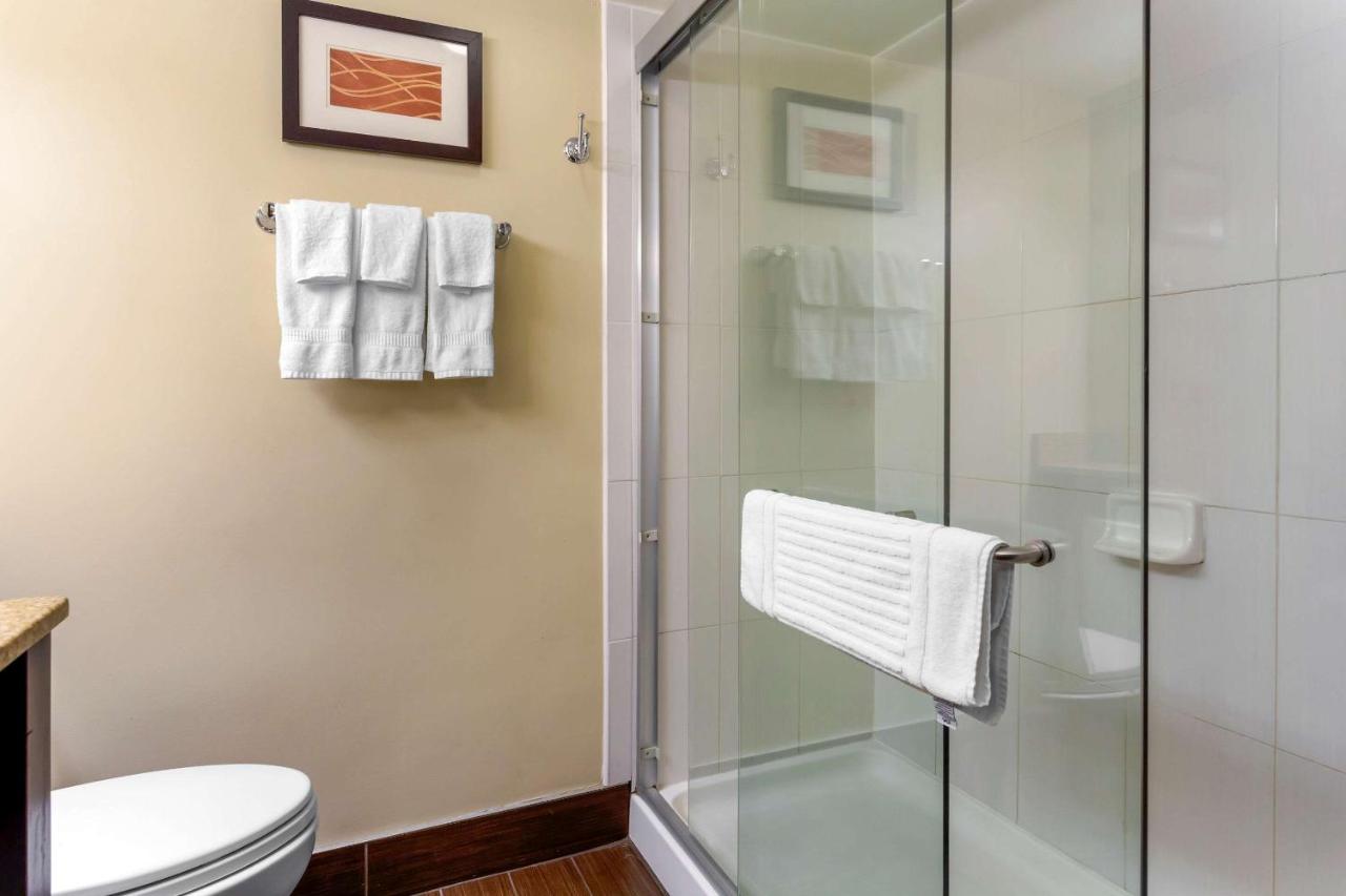 King Room - Non-Smoking at Comfort Inn Hammond I-94