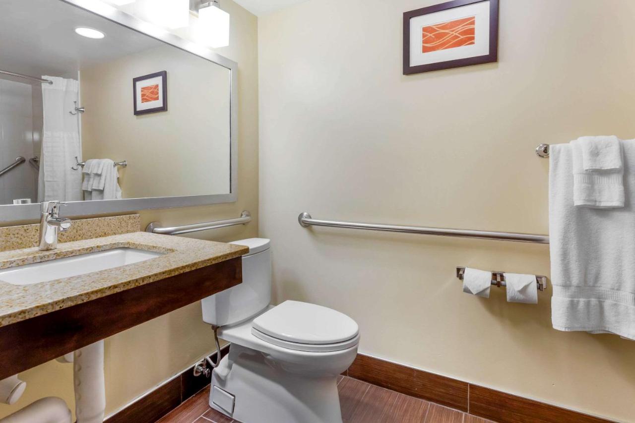 King Room with Roll-In Shower - Mobility Accessible/Non Smoking at Comfort Inn Hammond I-94
