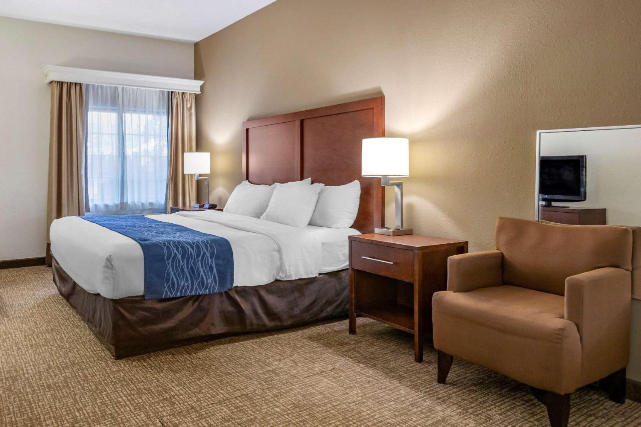 King Room - Non-Smoking at Comfort Inn Downtown - University Area