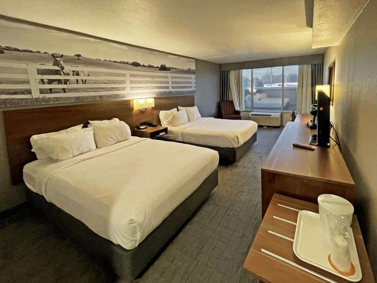  | Clarion Pointe Near Fort Campbell