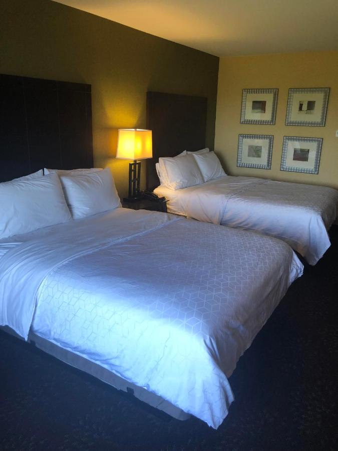  | Holiday Inn Express Hotel & Suites Lansing-Dimondale