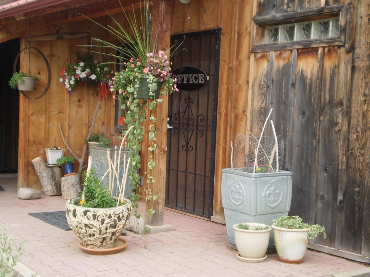 | Silver River Adobe Inn Bed and Breakfast