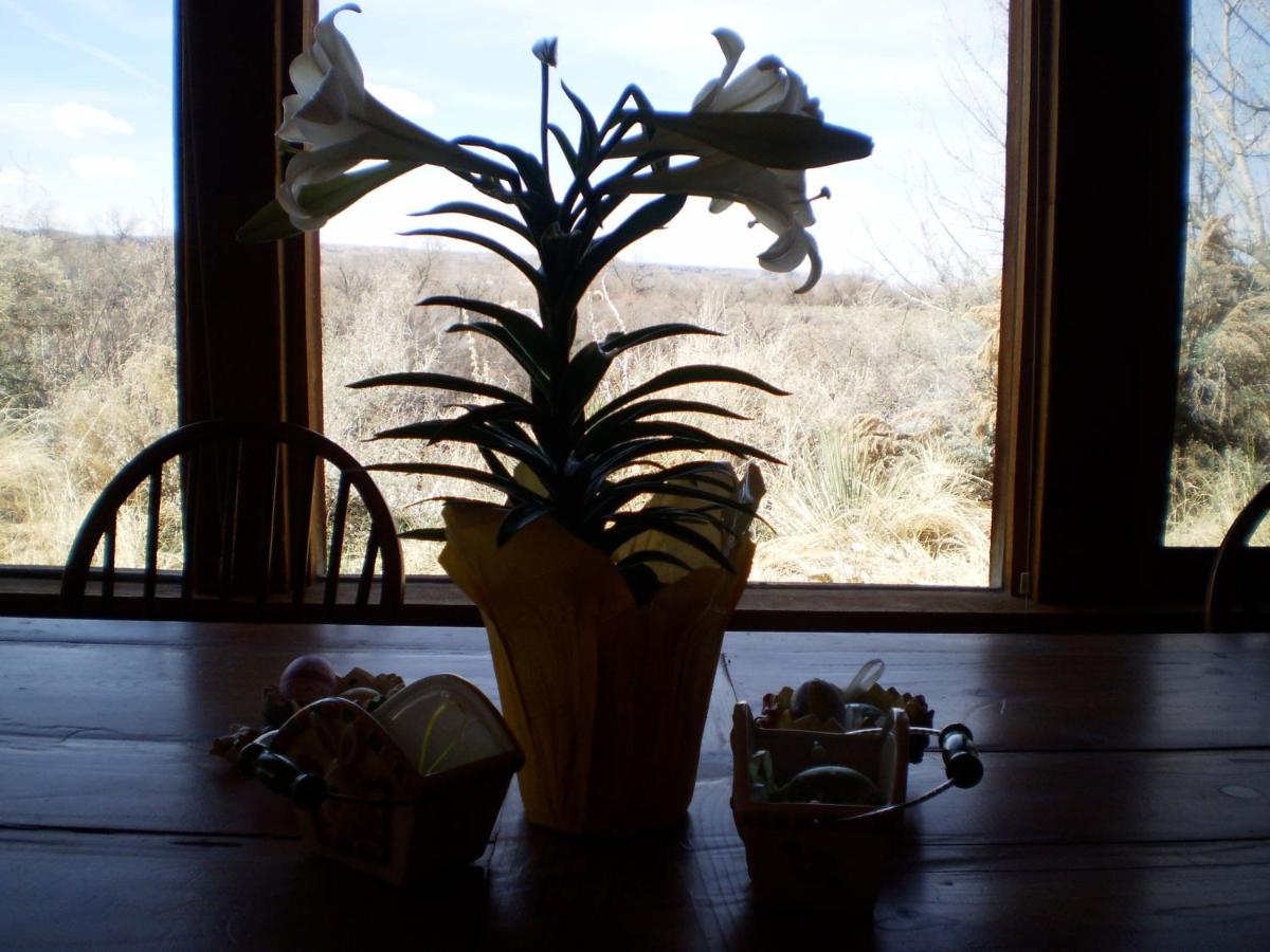 | Silver River Adobe Inn Bed and Breakfast