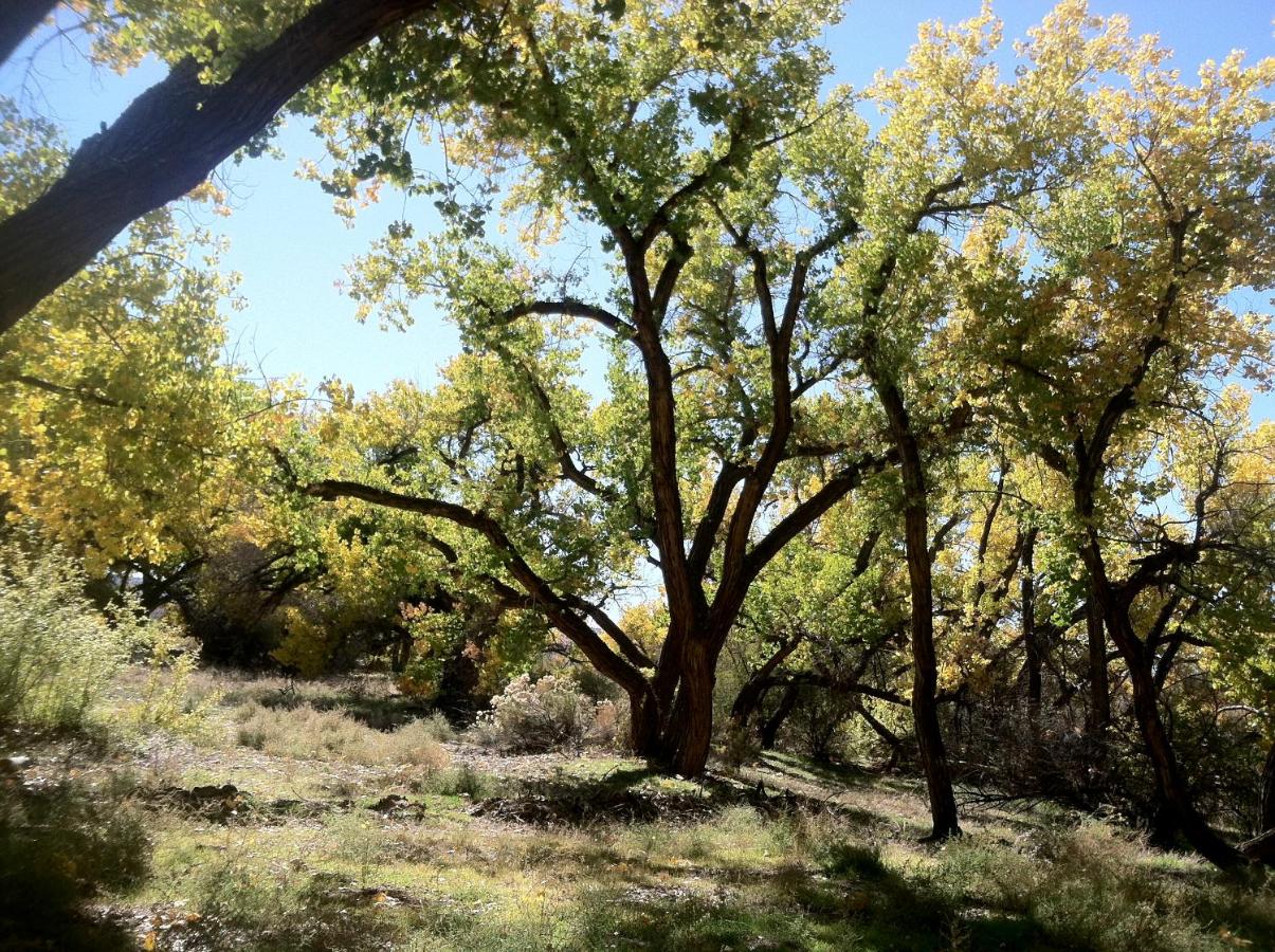 | Silver River Adobe Inn Bed and Breakfast