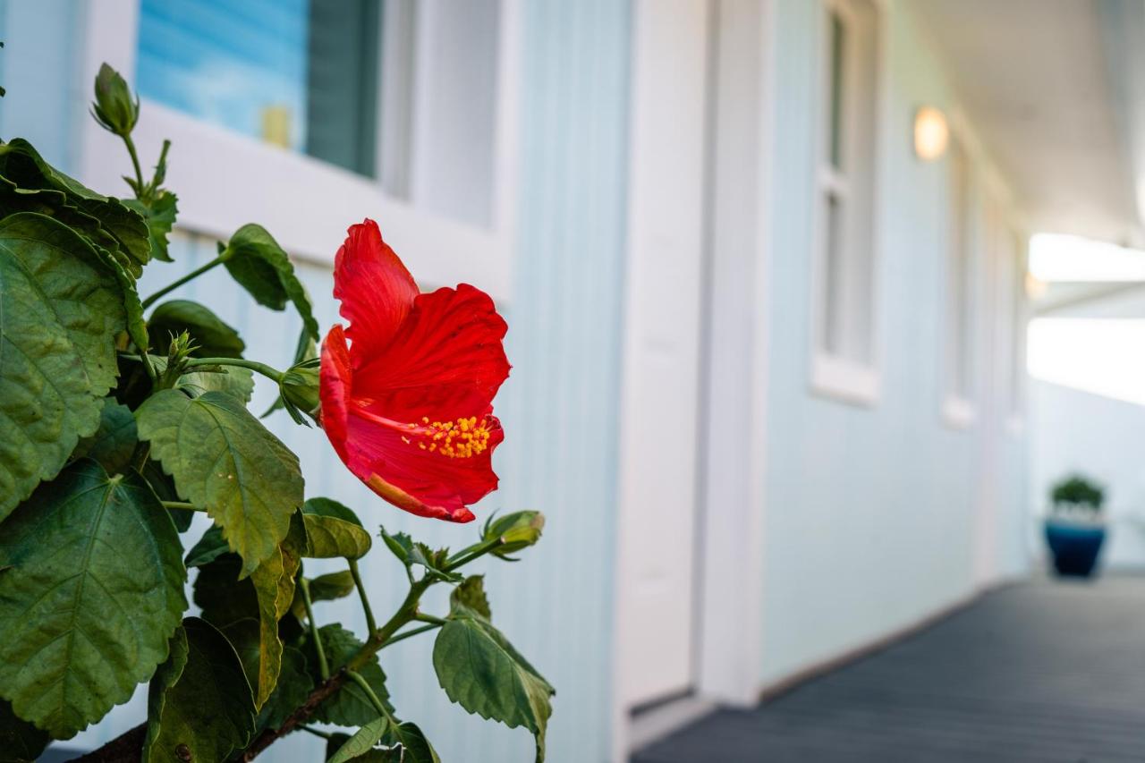 | Salt Air Inn & Suites
