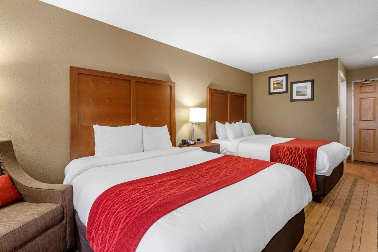 Queen Room with Two Queen Beds - Non-Smoking at Comfort Inn & Suites Cedar Rapids North - Collins Road