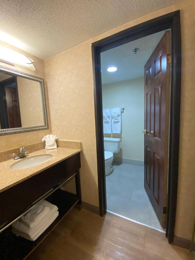 Standard King Room at Wyndham Garden Grand Rapids Airport