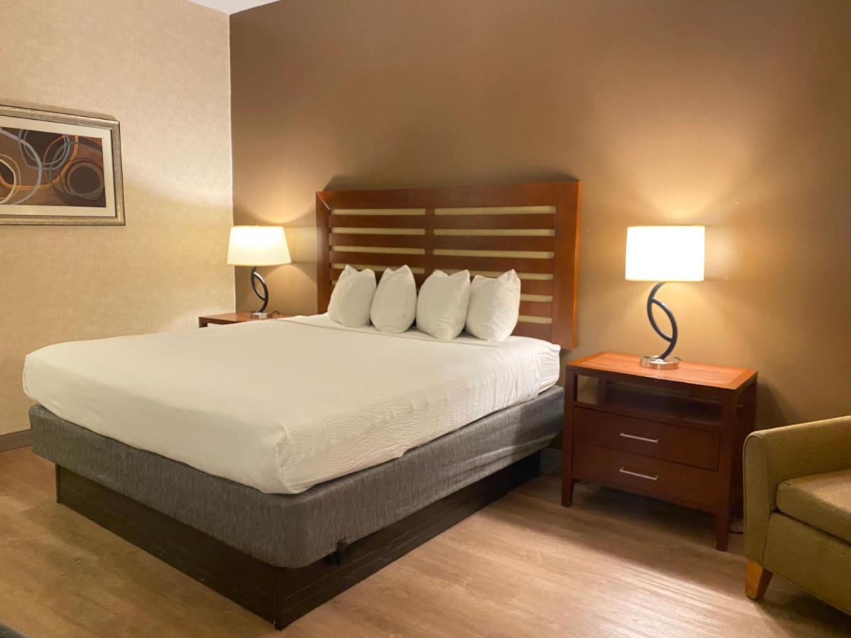 Standard King Room at Wyndham Garden Grand Rapids Airport