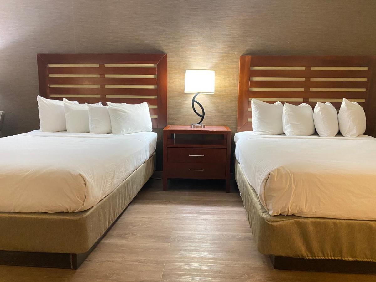Standard Queen Room with Two Queen Beds at Wyndham Garden Grand Rapids Airport
