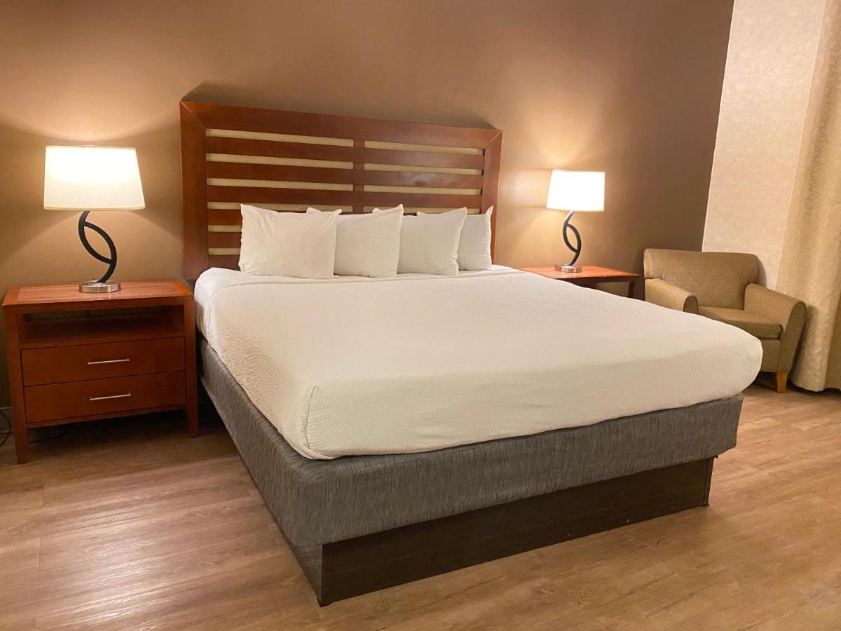 King Room - Disability Access at Wyndham Garden Grand Rapids Airport