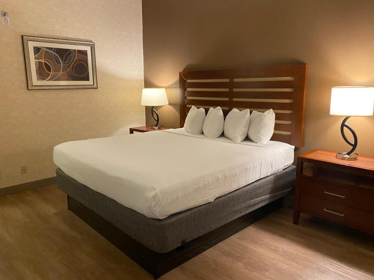 King Room - Disability Access at Wyndham Garden Grand Rapids Airport