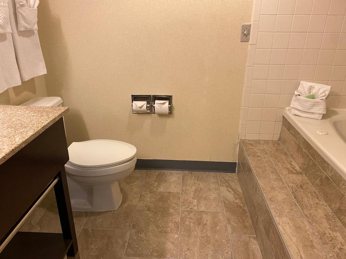 King Studio Suite - Non-Smoking at Wyndham Garden Grand Rapids Airport