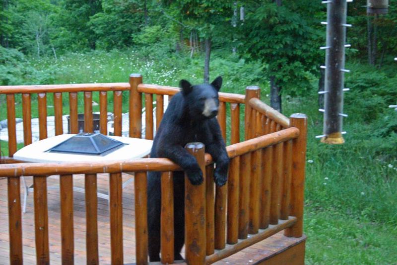 | Black River Crossing Bed & Breakfast