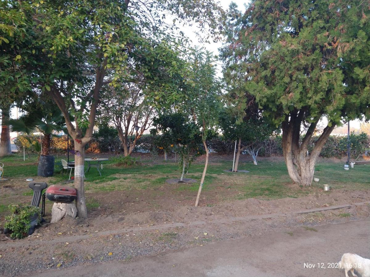 | Room in Lodge - Shasta Motel in Turlock, Ca