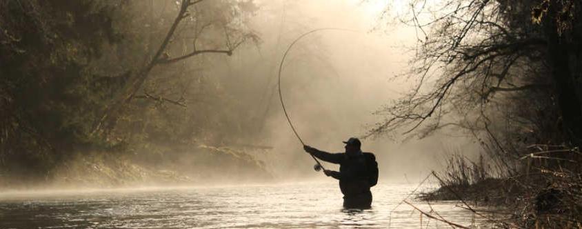 | Horseshoe Riverside Lodge