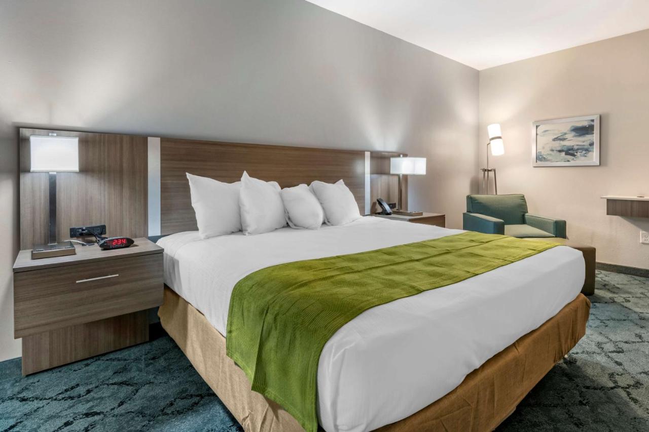 King Room with Roll-In Shower - Disability Access at Best Western Plus Lakeland