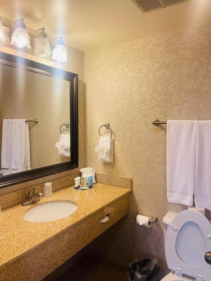 | Senate Luxury Suites