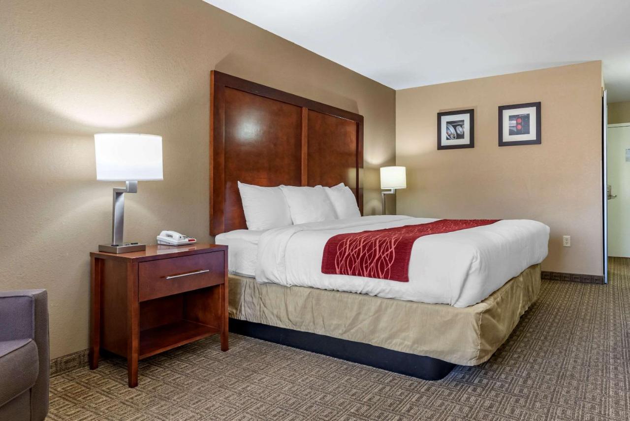 King Room - Non-Smoking at Comfort Inn & Suites Leeds I-20