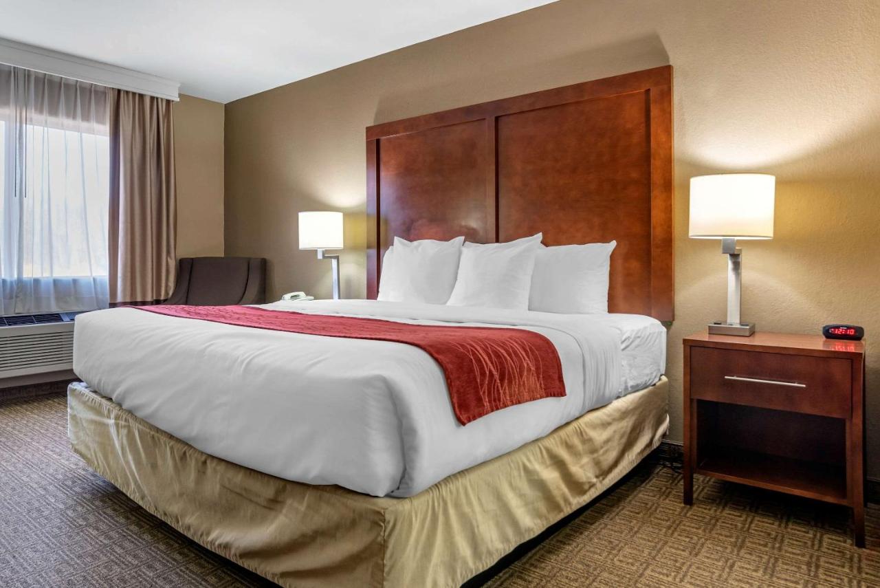 King Suite with Sofa Bed - Non-Smoking at Comfort Inn & Suites Leeds I-20