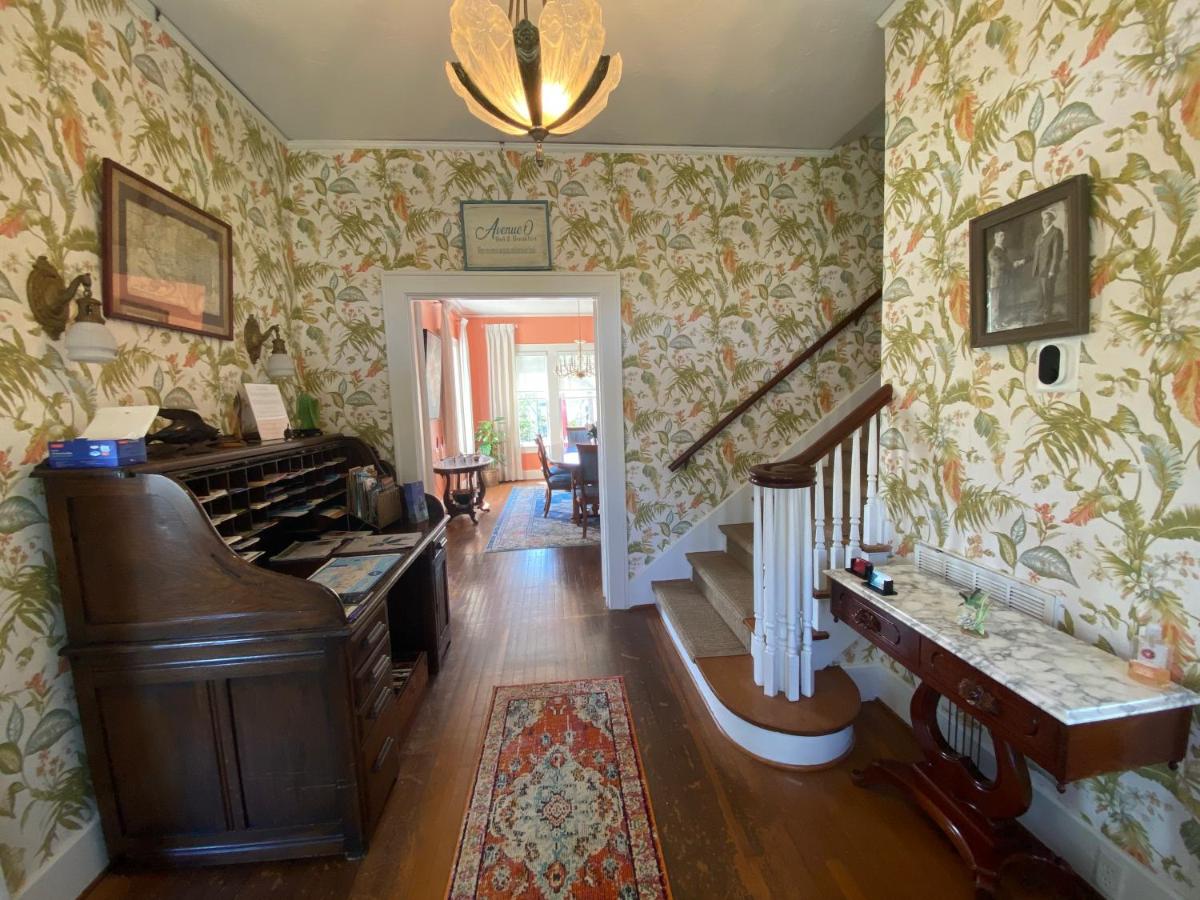| Avenue O Bed and Breakfast