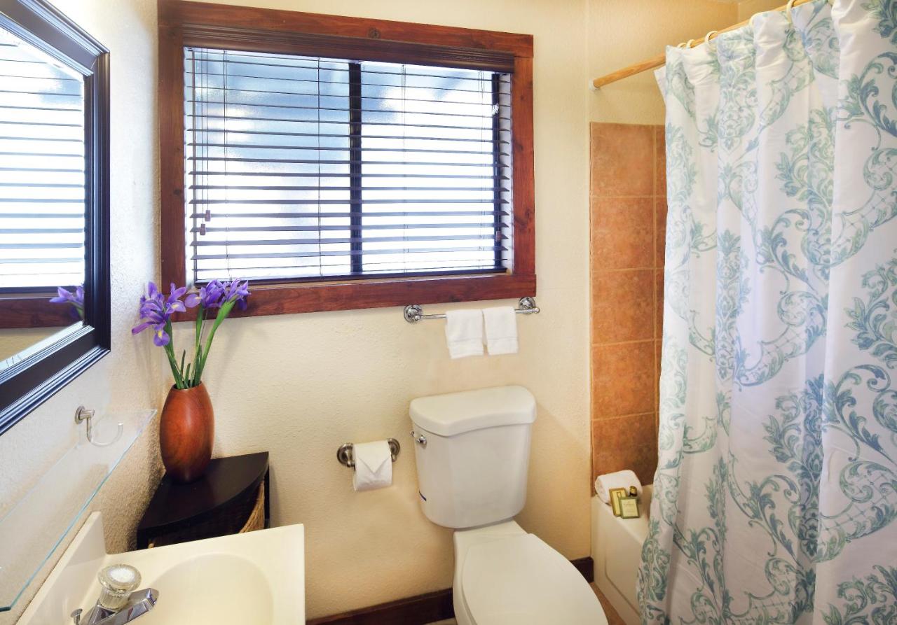 Deluxe King Studio at Inn on the Russian River