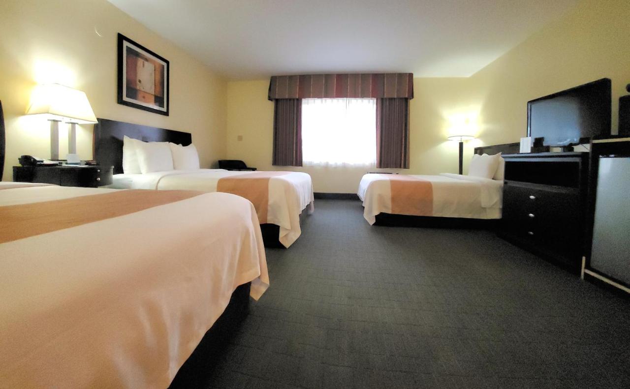 Family Room - Non Smoking at Quality Inn & Suites Anaheim At The Park