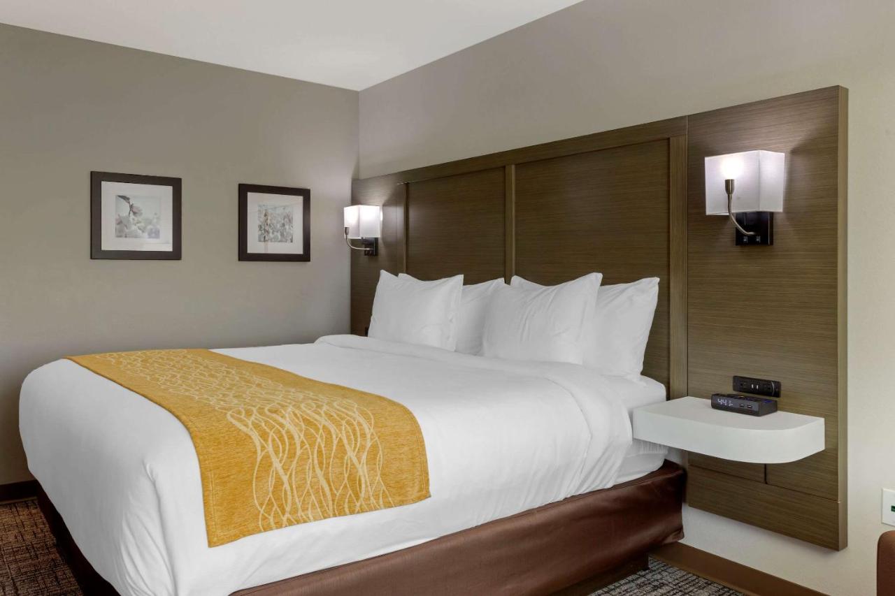 Standard King Room - Non Smoking at Comfort Inn Jonesboro Central