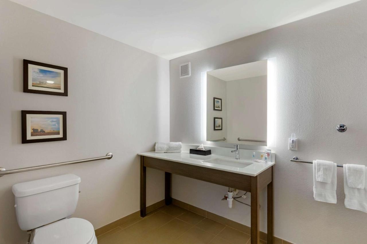 King Room with Roll-In Shower - Accessible/Non Smoking at Comfort Inn Jonesboro Central
