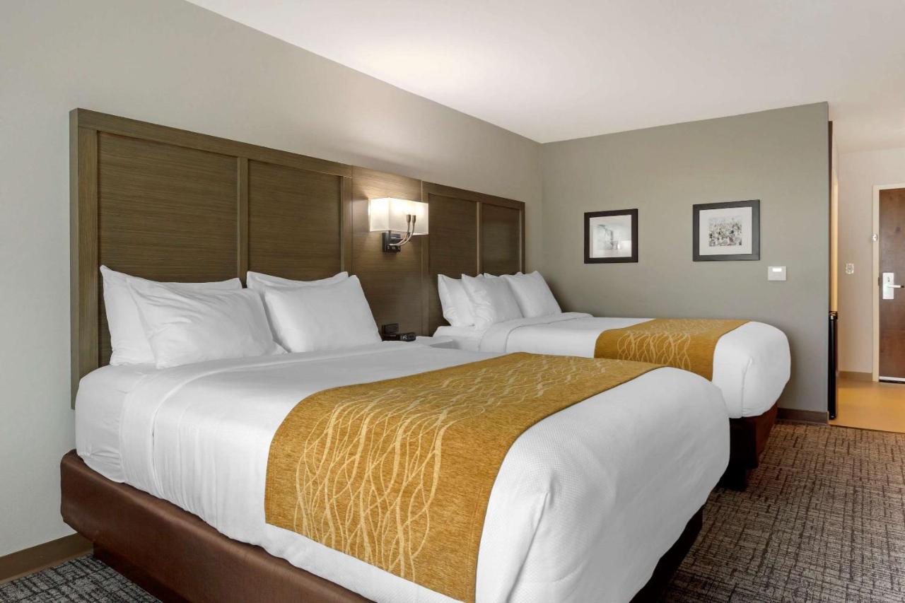 Queen Room with Two Queen Beds - Accessible/Non Smoking at Comfort Inn Jonesboro Central