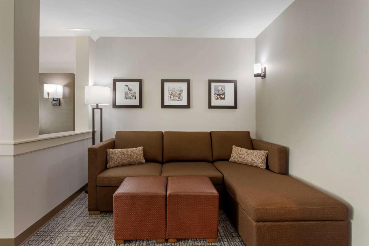 King Suite with Sofa Bed - Non Smoking at Comfort Inn Jonesboro Central