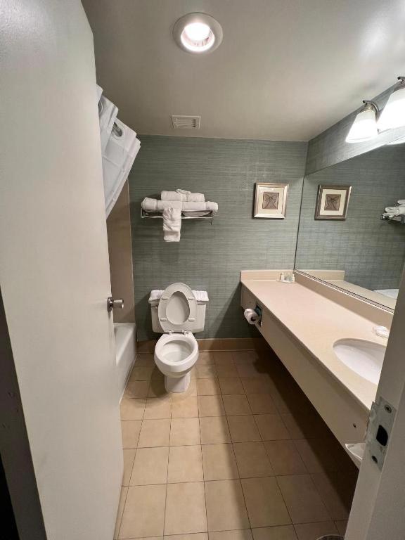 King Suite with Whirlpool - Non-Smoking at Clarion Hotel & Suites Convention Center Fredericksburg