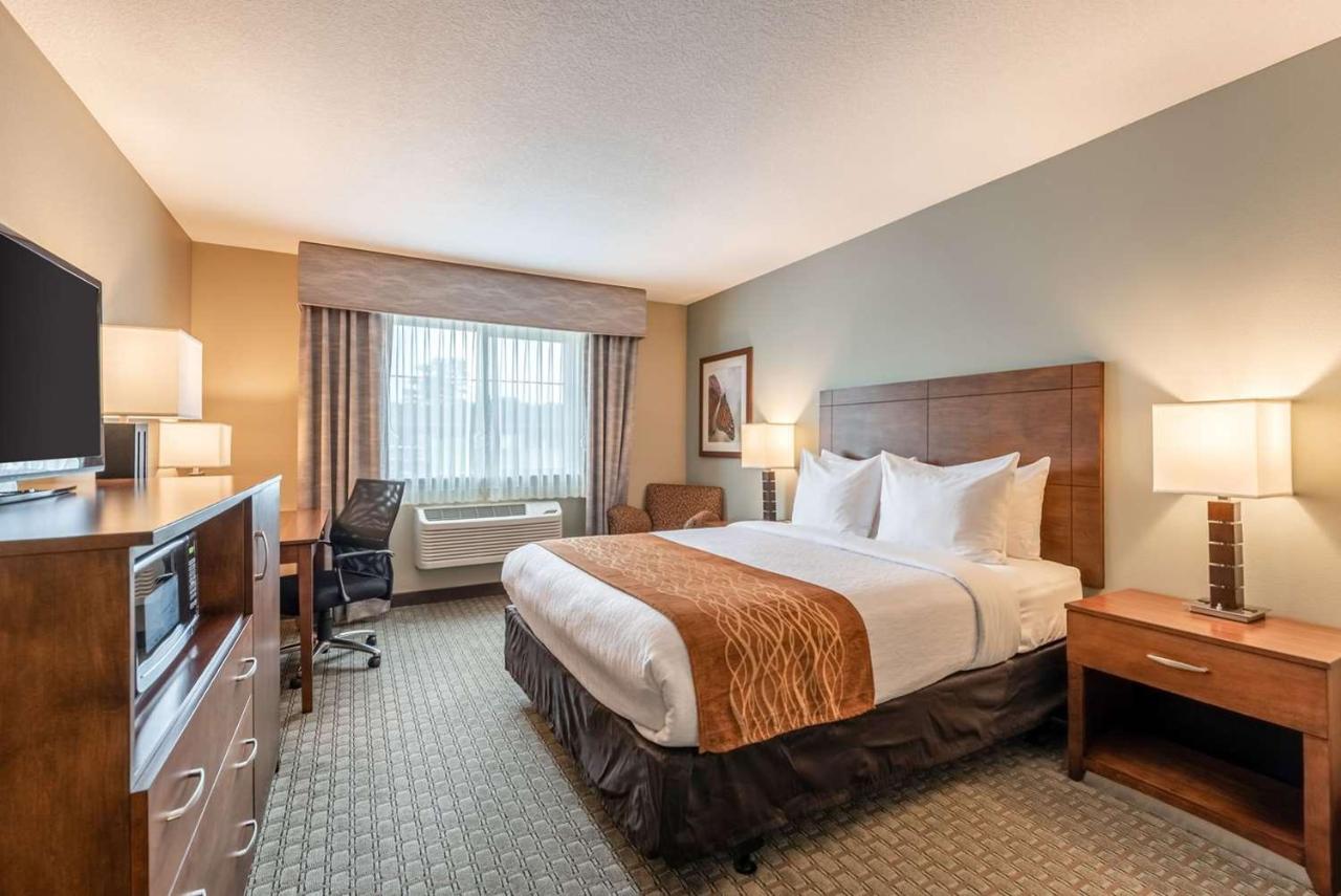 Standard King Room with Sofa Bed - Non-Smoking at Comfort Inn & Suites Shakopee Downtown Area