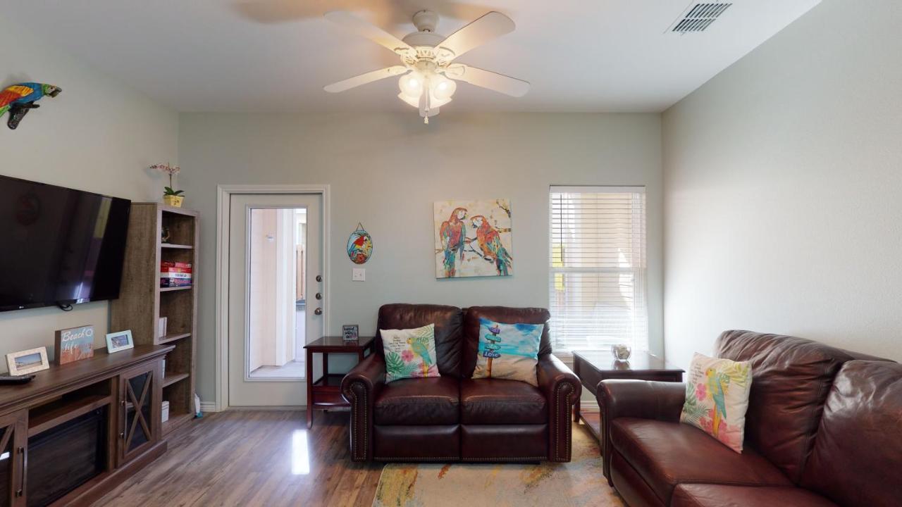 | BC202 Funky Parrot, Heated Saltwater Pool, Short Walk to Beach, Gameroom