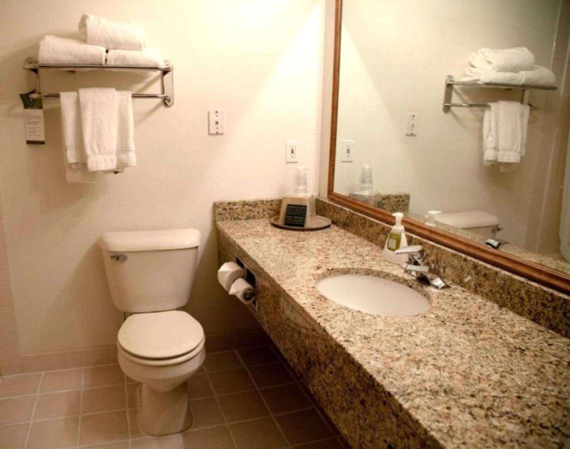 King Suite with Sofa Bed - Non Smoking at Comfort Inn & Suites Morton - Peoria