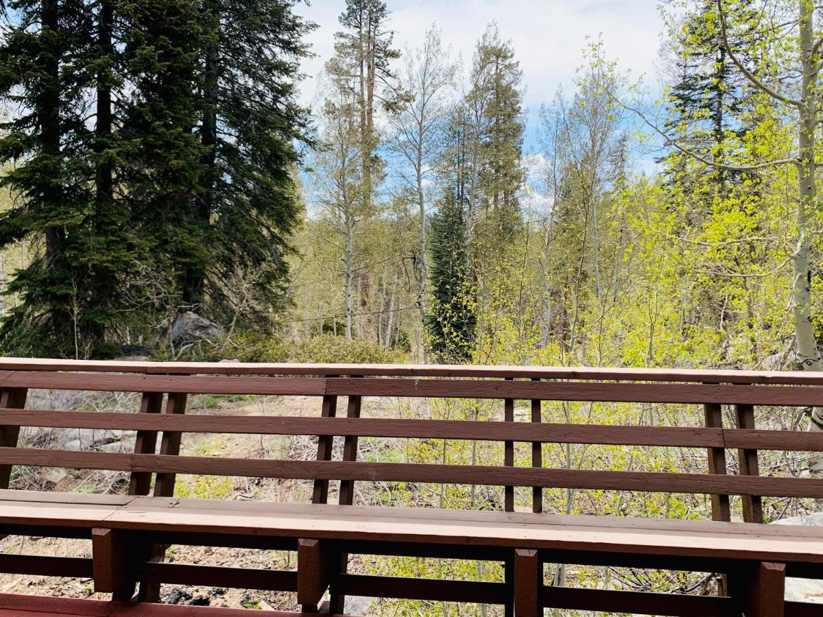  | The Sequoian - Sequoia Monument, Trail of 100 Giants, Kern/Tule rivers