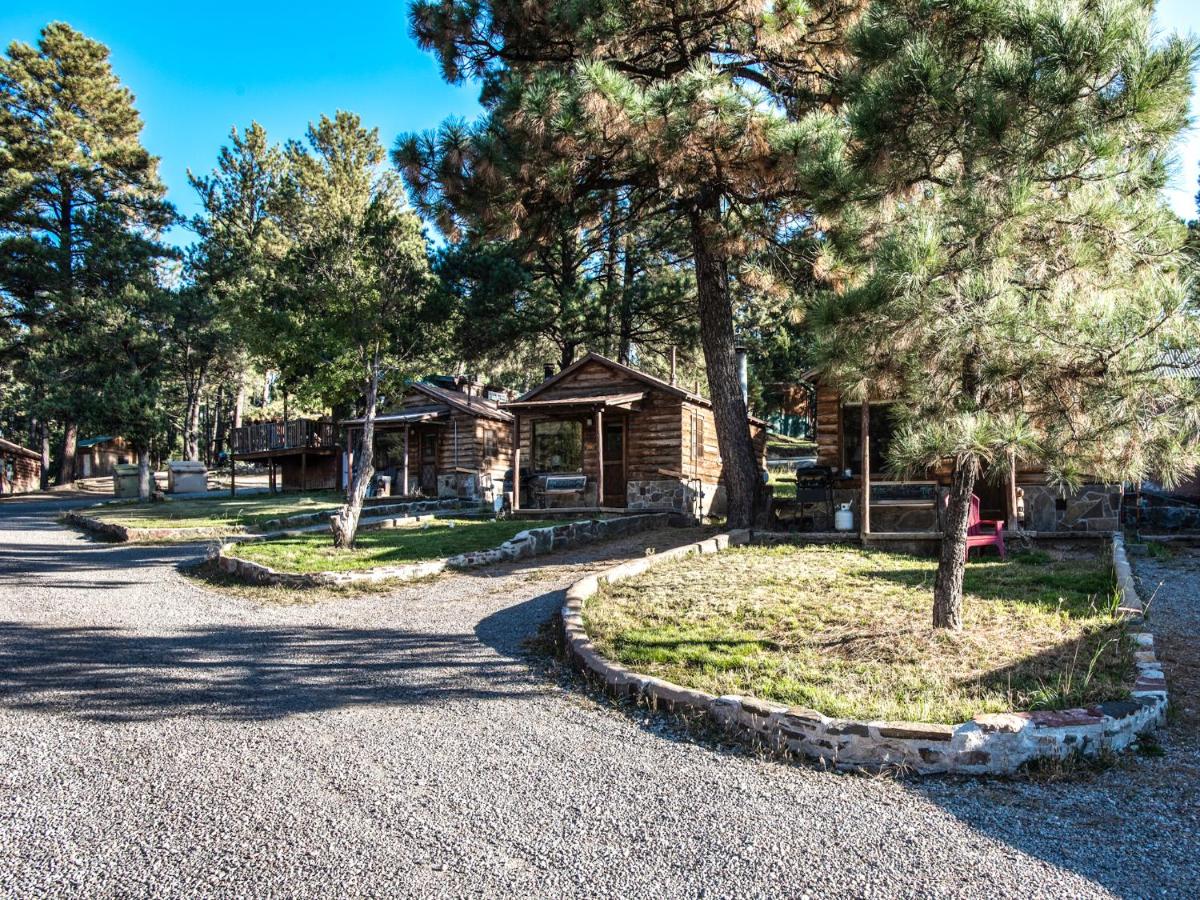 | Perfect Cabin, 2 Bedrooms, Fireplace, Midtown, Sleeps 5