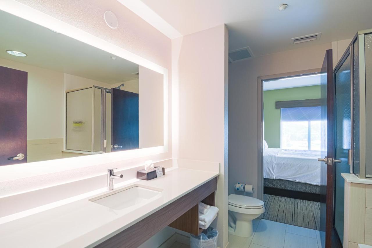 Executive King Suite - Non-Smoking at Holiday Inn Express & Suites Tampa USF Busch Gardens by IHG