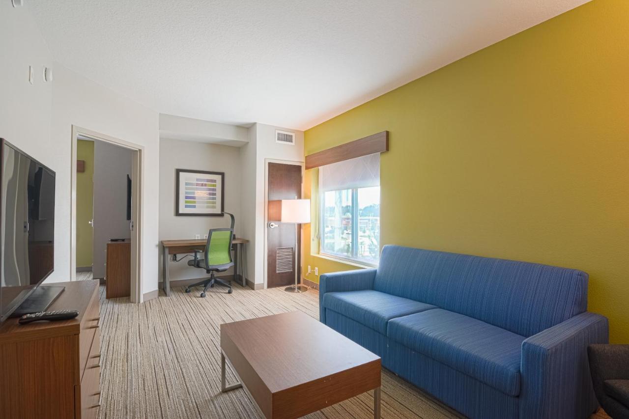 Executive King Suite - Non-Smoking at Holiday Inn Express & Suites Tampa USF Busch Gardens by IHG