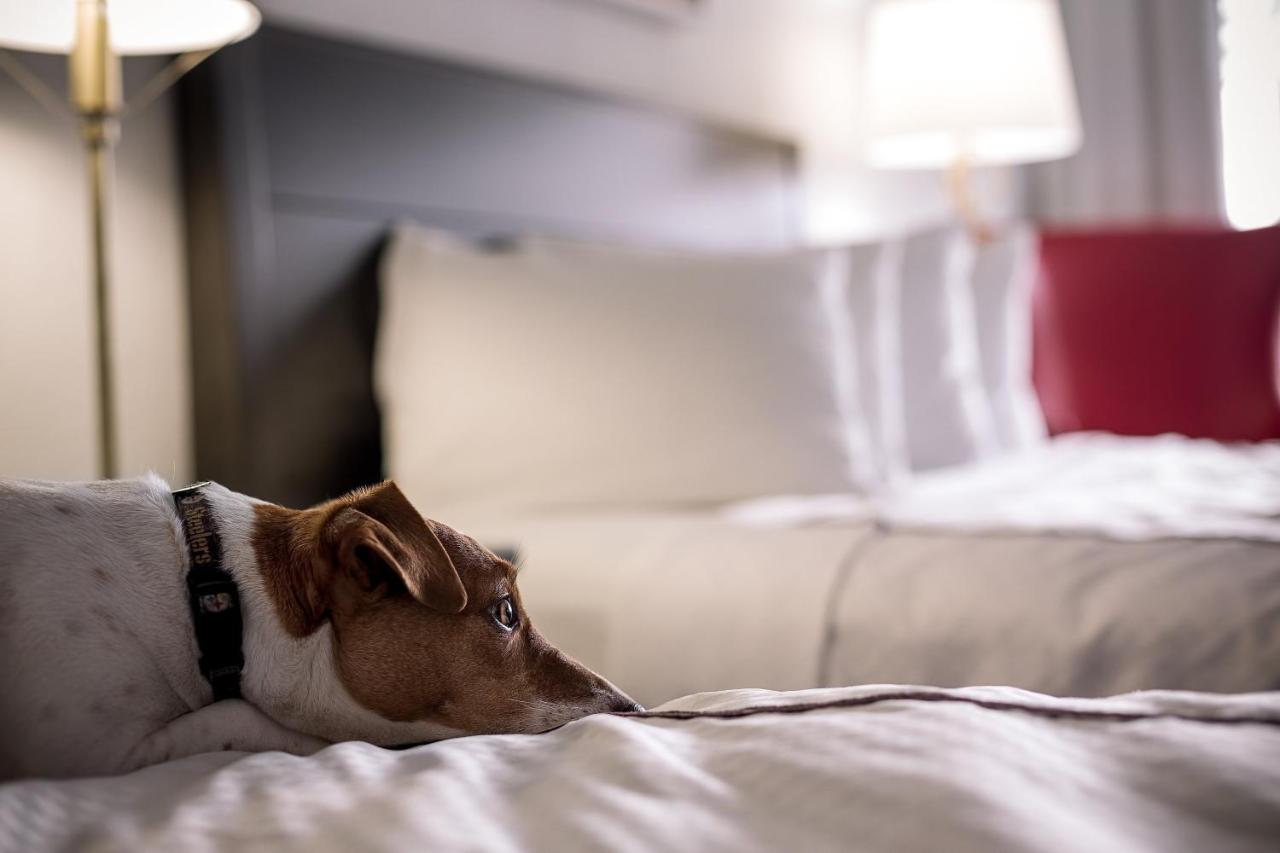 | Capitol Hill Hotel