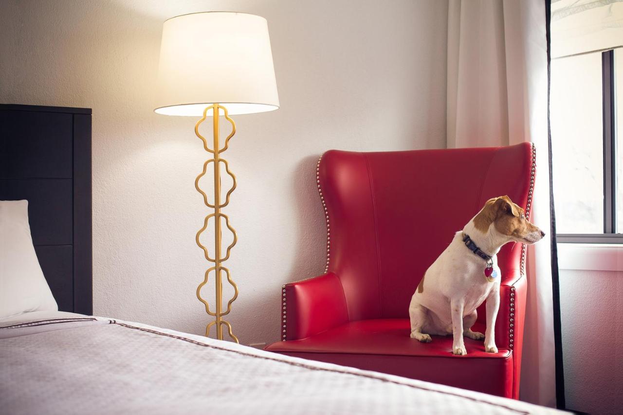| Capitol Hill Hotel