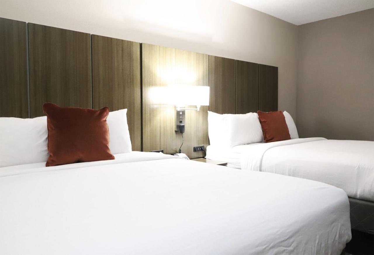 Studio Suite with Two Queen Beds - Non-Smoking at Wingate by Wyndham Jackson/Ridgeland