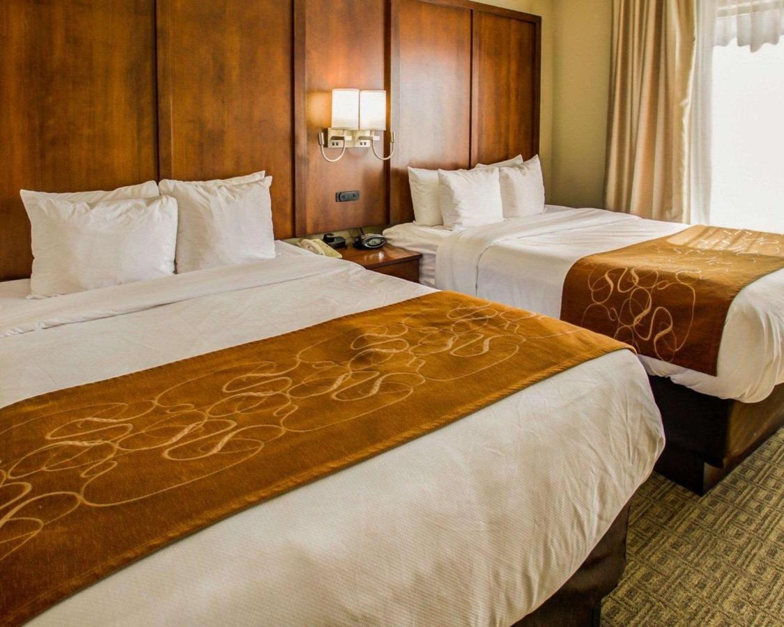 Queen Suite with Two Queen Beds - Non-Smoking at Comfort Suites Georgetown
