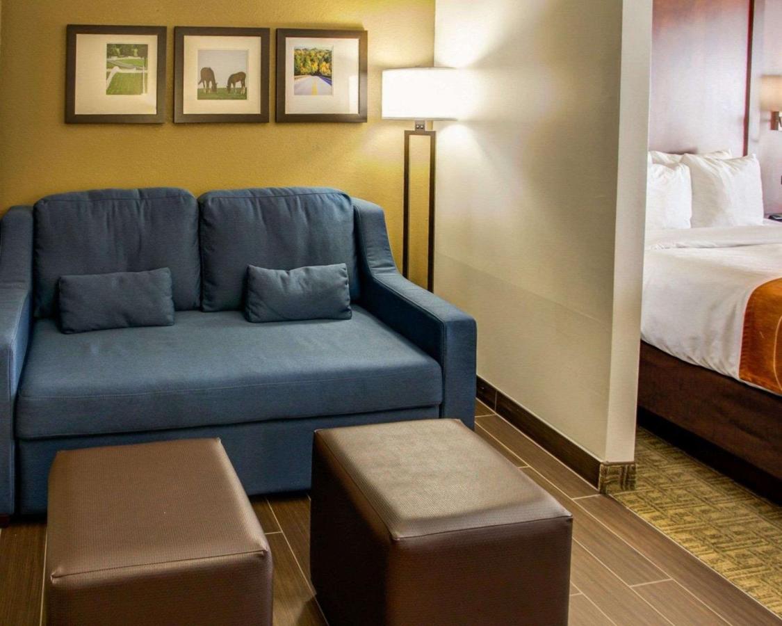 Queen Suite with Two Queen Beds - Non-Smoking at Comfort Suites Georgetown