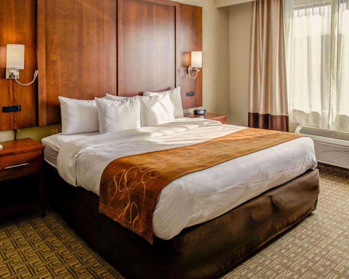 Standard King Suite - Non-Smoking at Comfort Suites Georgetown