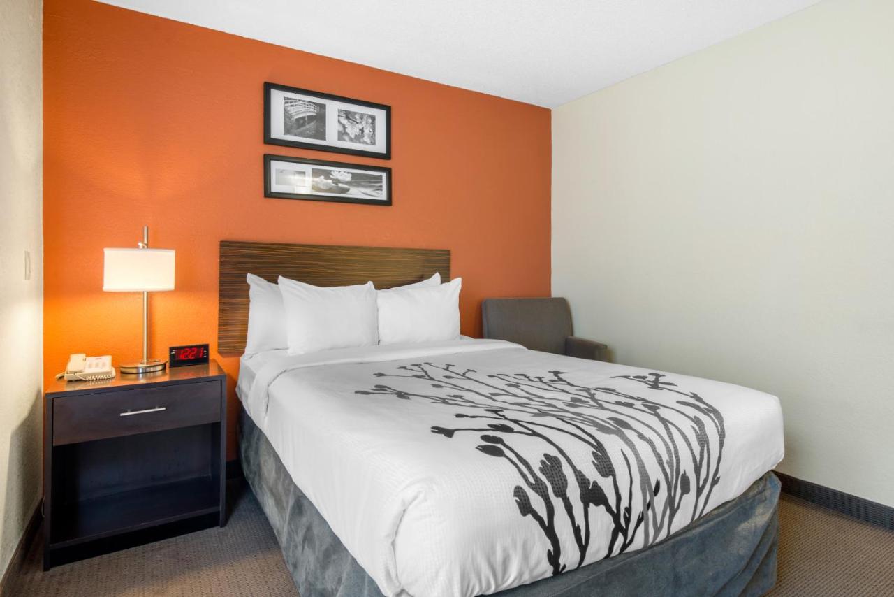 Double Room with Two Double Beds - Non Smoking/Pet Friendly at Sleep Inn Sarasota North