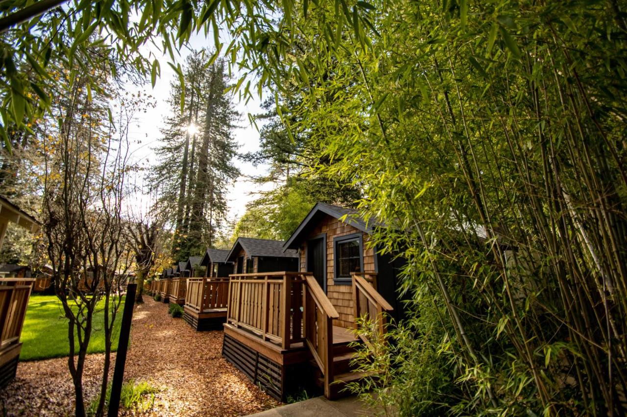 Sycamore Cabin at Dawn Ranch