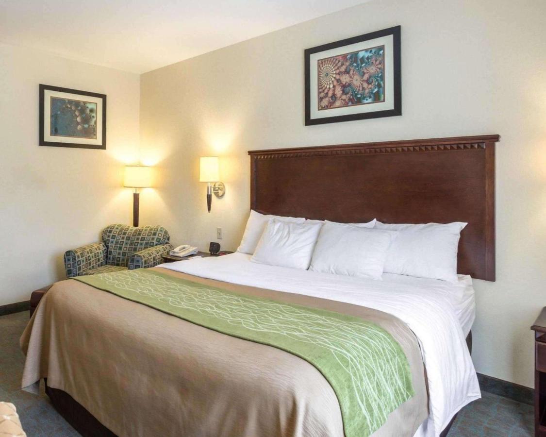 King Suite - Non-Smoking at Quality Inn Donaldsonville - Gonzales