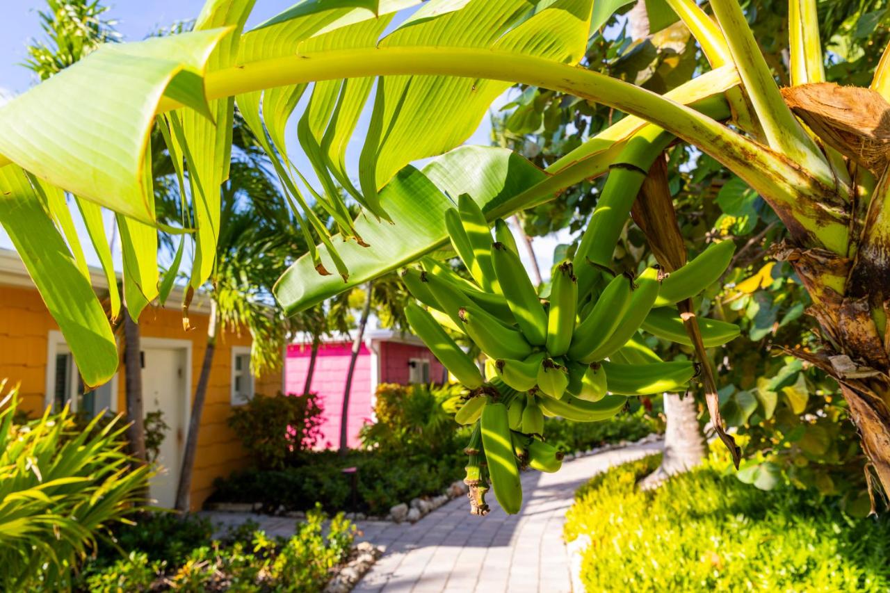 | La Siesta Resort & Villas